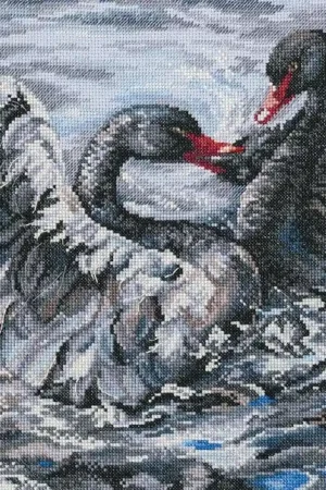 Holiday Sale Two black swans M557 Counted Cross Stitch Kit
