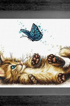 Playful Kitten B7013L Counted Cross-Stitch Kit Limited Time