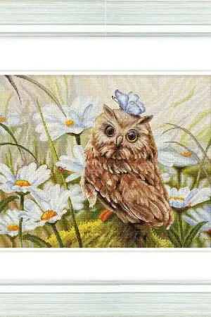 Lucky Owl B7011L Counted Cross-Stitch Kit Get Yours