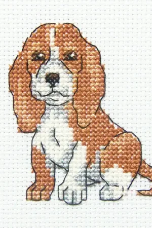Eared Baddy H234 Counted Cross Stitch Kit Bargain