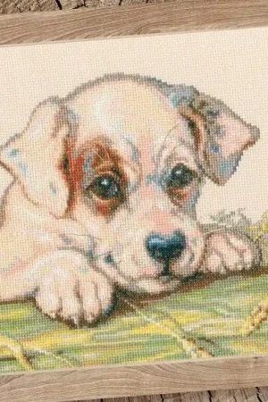 Money Back Guarantee Motherhood Puppy M711 Counted Cross Stitch Kit