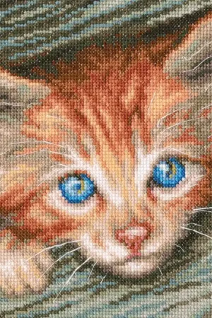 Fluffy observer M710 Counted Cross Stitch Kit Factory Price