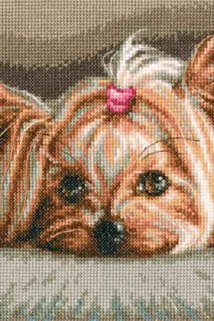 Markdown Pet M709 Counted Cross Stitch Kit