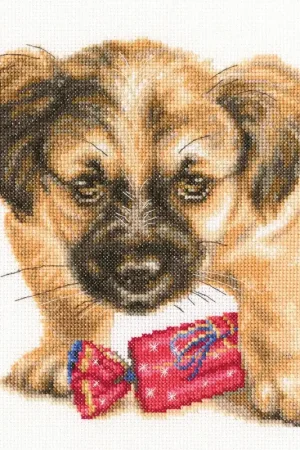 Refreshment M707 Counted Cross Stitch Kit Grab Now