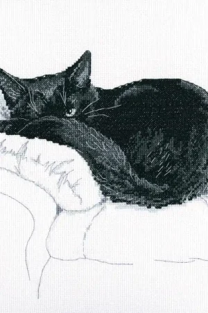 Among black cats M668 Counted Cross Stitch Kit Exclusive