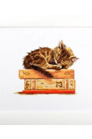 Cat's dream M642 Counted Cross Stitch Kit Buy Direct
