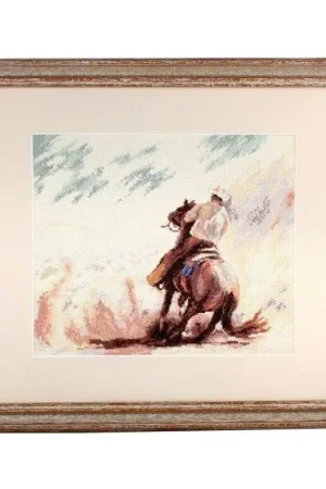 Special Offer Prairy dust M490 Counted Cross Stitch Kit