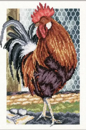 Authentic Rooster on the Walk M350 Counted Cross Stitch Kit