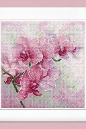 Graceful Orchids B7009L Counted Cross-Stitch Kit Buy Today
