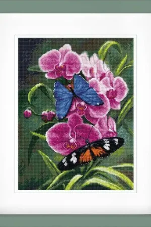 In Demand Nature's Poetry B7010L Counted Cross-Stitch Kit