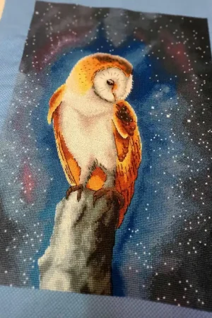 Night Owl" - PDF Counted Cross Stitch Pattern Best Seller