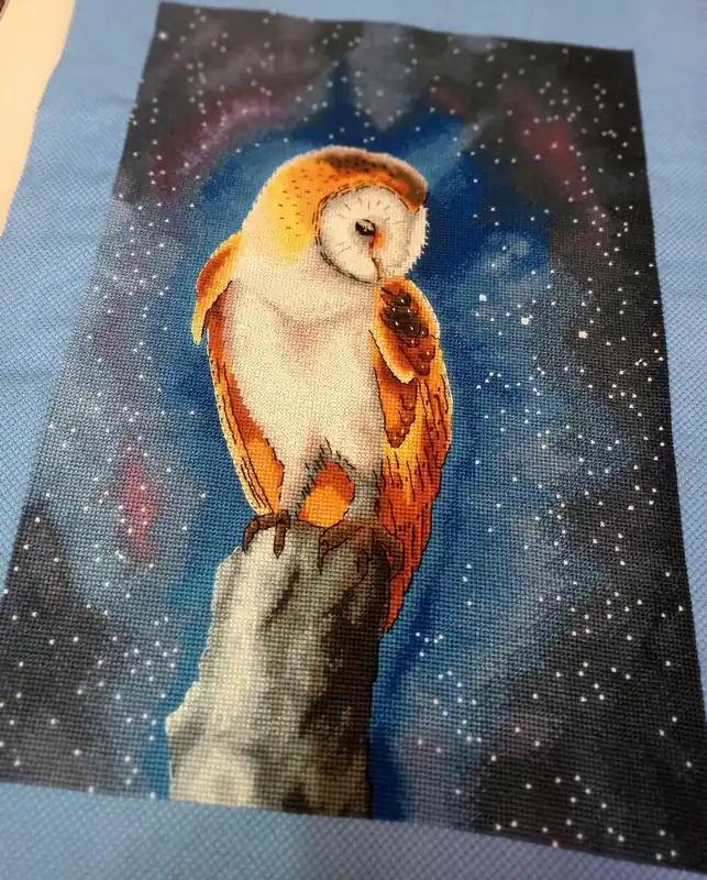 Night Owl" - PDF Counted Cross Stitch Pattern Best Seller