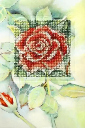 Complete counted cross stitch kit - greetings card "Rose" 6228 Special Offer