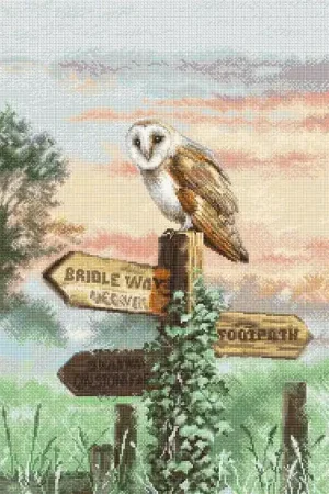Big Sale Counted Cross Stitch Kit Barn Owl L8031
