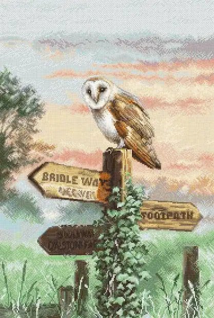 Big Sale Counted Cross Stitch Kit Barn Owl L8031