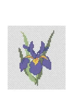 Iris B021L Counted Cross-Stitch Kit Budget