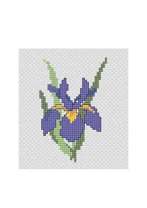 Iris B021L Counted Cross-Stitch Kit Budget