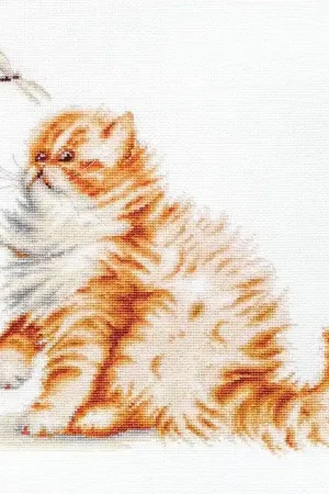 Editor’s Pick Kitten with a dragonfly B2270L Counted Cross-Stitch Kit