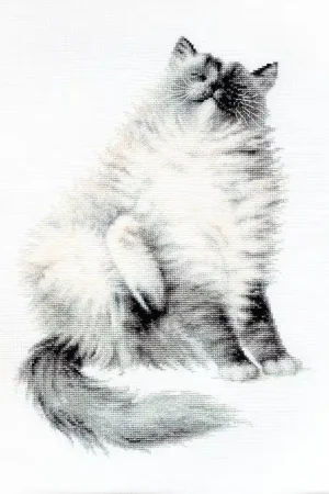 Micky B2269L Counted Cross-Stitch Kit Grab Now