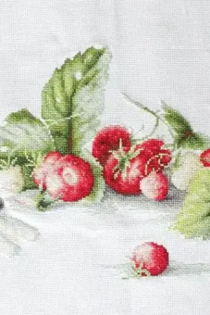 Etude with Strawberries B2254L Counted Cross-Stitch Kit Free Shipping
