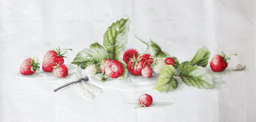 Etude with Strawberries B2254L Counted Cross-Stitch Kit Free Shipping
