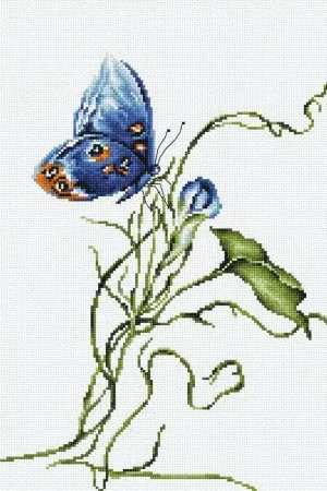 Affordable Emotion B2242L Counted Cross-Stitch Kit