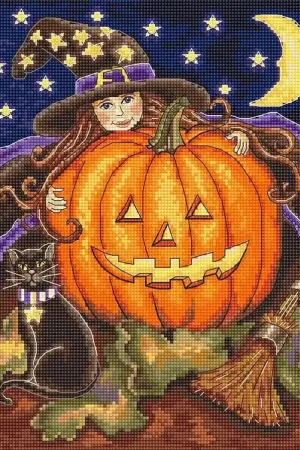 Save Now Counted Cross Stitch Kit Pumpkin Girl Leti992