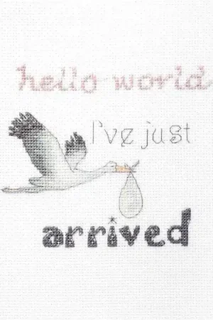 Counted Cross Stitch Kit A gift for a newborn Leti931 Time-Limited