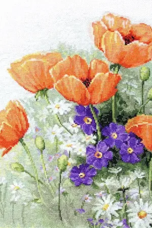 Direct From Manufacturer Poppies B2368L Counted Cross-Stitch Kit