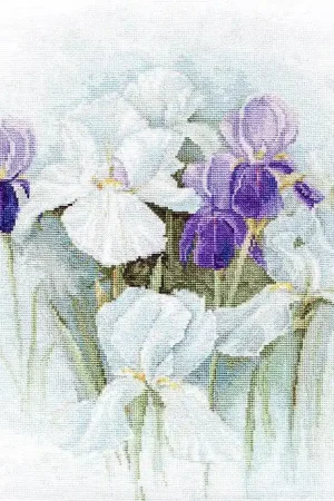 Limited Time Irises B2367L Counted Cross-Stitch Kit