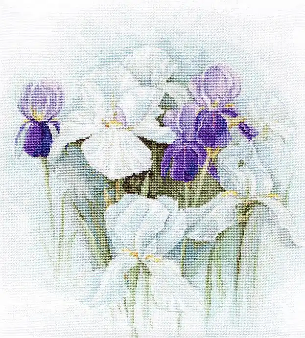 Limited Time Irises B2367L Counted Cross-Stitch Kit