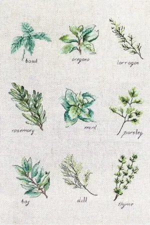One Day Deal Spices and herbs B2346L Counted Cross-Stitch Kit