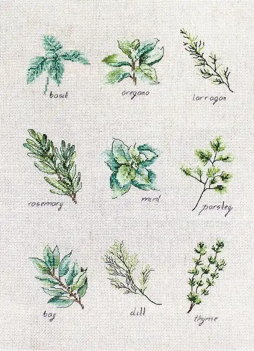 One Day Deal Spices and herbs B2346L Counted Cross-Stitch Kit