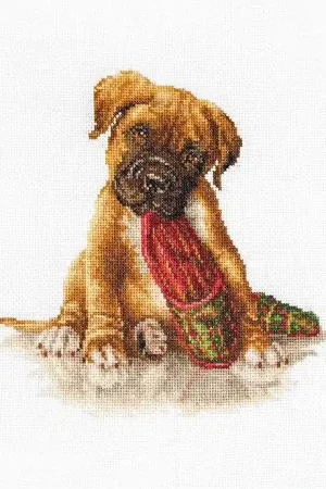 While Supplies Last The Boxer B2338L Counted Cross-Stitch Kit