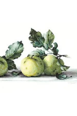 Still Life with apples B2259L Counted Cross-Stitch Kit Direct From Manufacturer