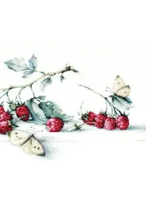 Hot Deal Raspberries with Butterfly B2253L Counted Cross-Stitch Kit