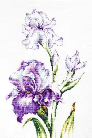 Irises B2251L Counted Cross-Stitch Kit Exclusive Offer