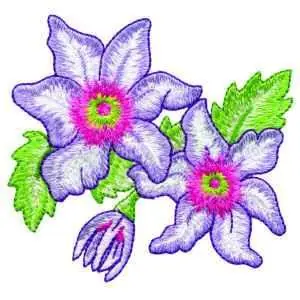 Clematis Embroidery Design Free Shipping