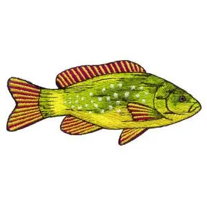 Fish Embroidery Design Secure Checkout