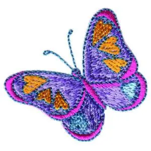 Direct From Factory Hearts and Butterfly Embroidery Design
