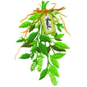 Basil Embroidery Design Limited Time