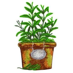 Hot Deal Sage Embroidery Design