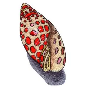 Factory Price Seashell Embroidery Design