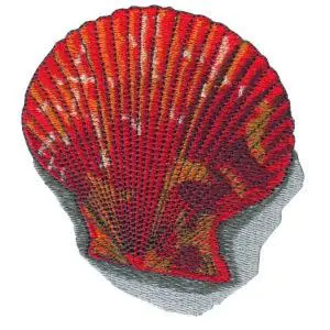 Clam Shell Embroidery Design Handmade