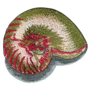Seashell Embroidery Design Top Pick