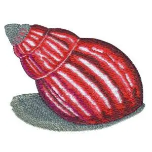 Seashell Embroidery Design Best Seller
