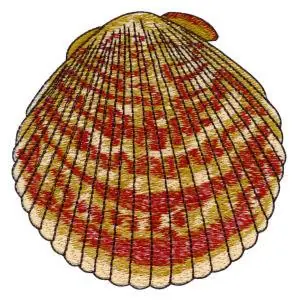 Save Now Seashell Embroidery Design