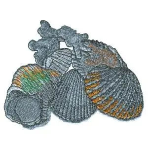 Limited Offer Seashells Embroidery Design