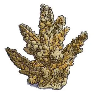 Bulk Order Coral Embroidery Design