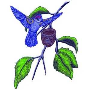 Budget Hummingbird Nest Embroidery Design
